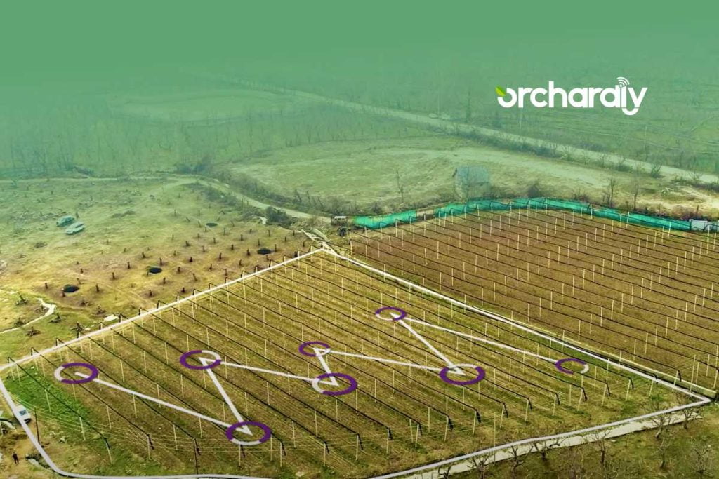 How to collect soil sample from your orchard